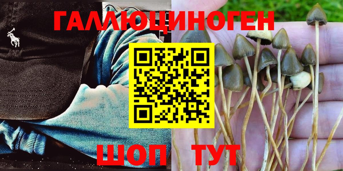 Галлюциногенные грибы MAGIC MUSHROOMS Чайковский