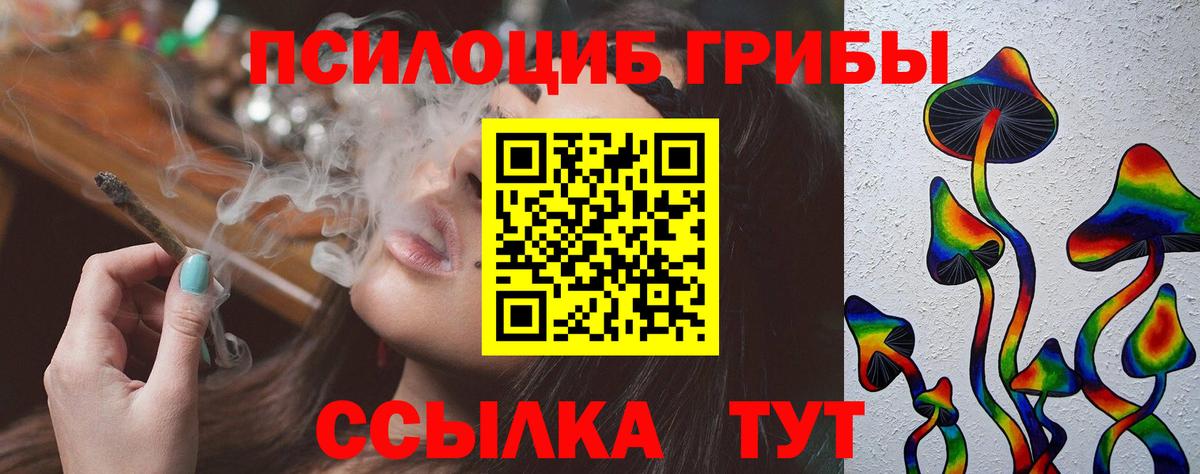 Галлюциногенные грибы Magic Shrooms  как найти закладки  Чайковский  Вход с VPN  Псилоцибиновые грибы Cubensis 